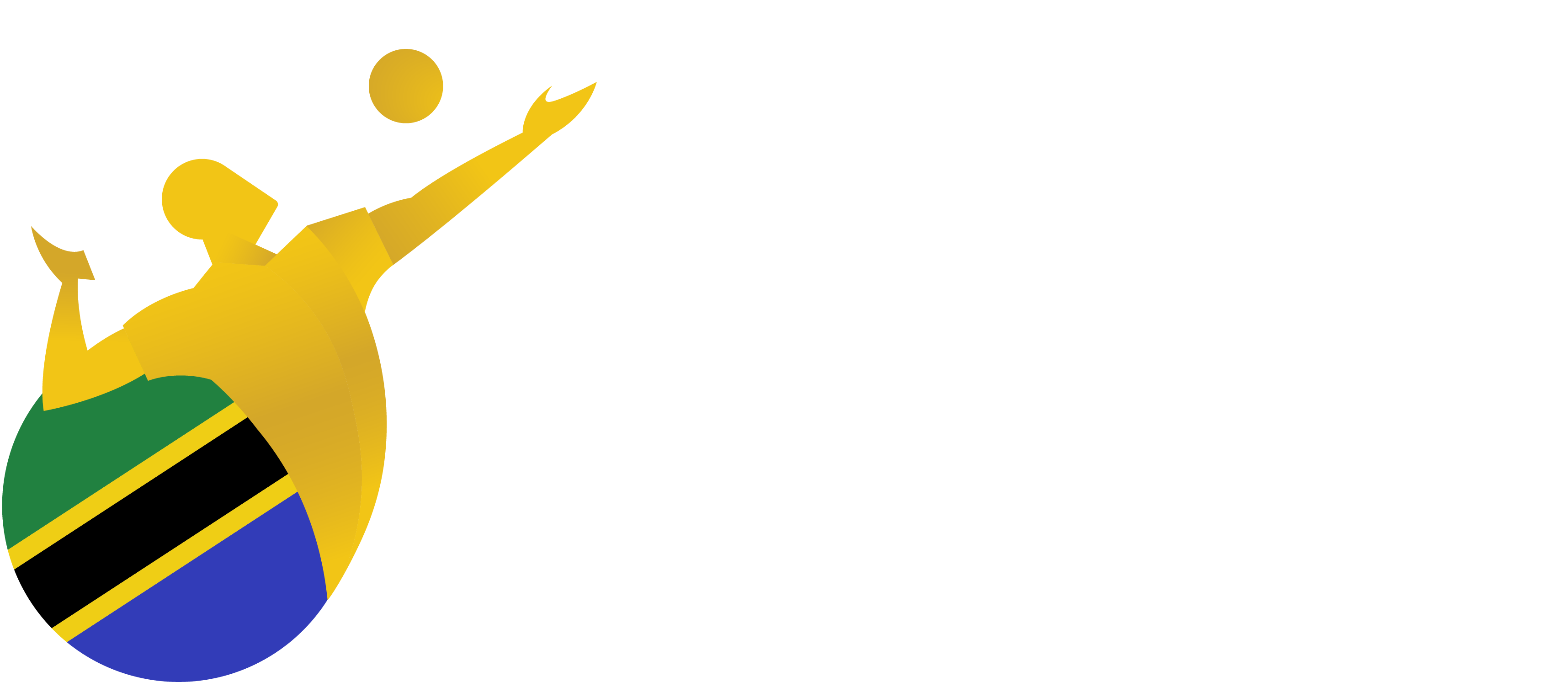 Logo for Tanzania Volleyball Federation
